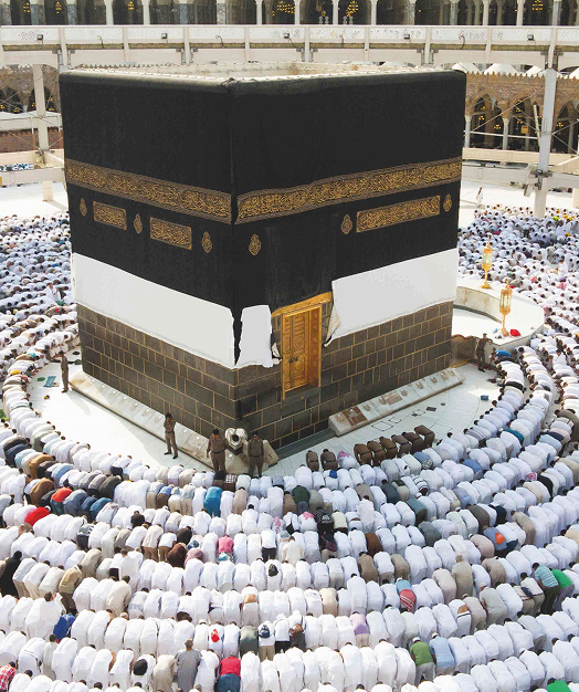 ভর্তি ও তথ্য